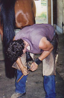 As a farrier, it's not my job to just slap shoes on hooves...it is my job to manage horses' feet the way they themselves would!